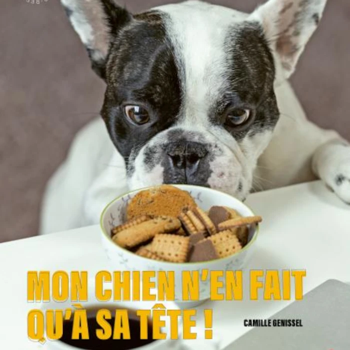 Livre Mon chien n'en fait qu'à sa tête