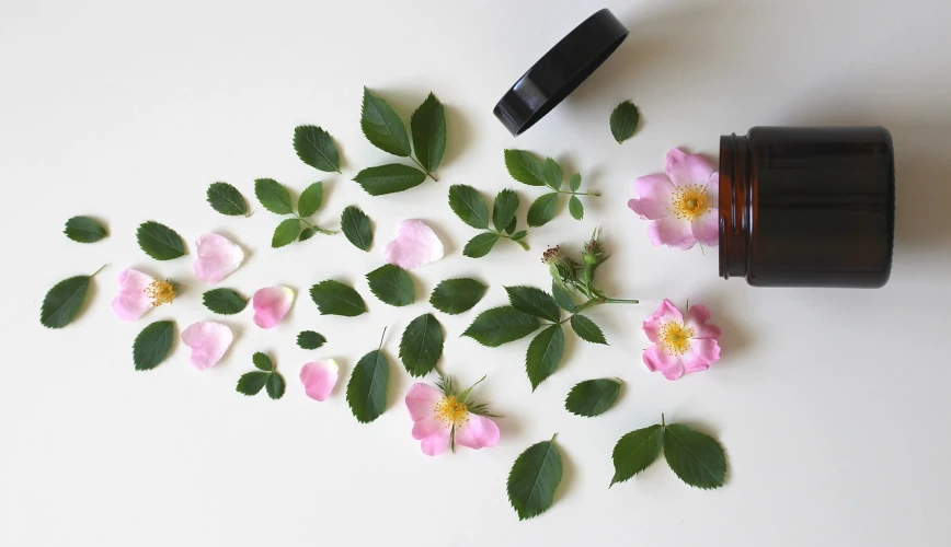 cosmétique naturelle plantes