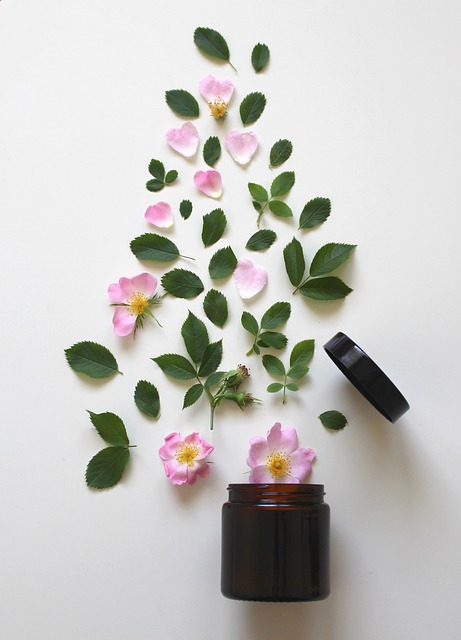 cosmétique naturelle plantes