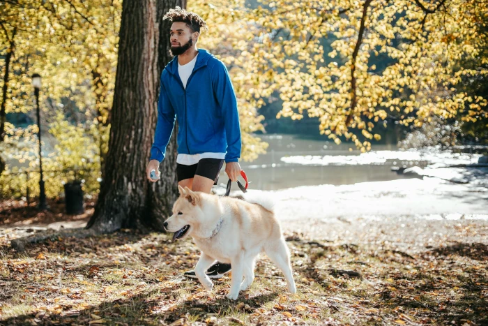 promenade chien dans un parc