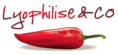 logo Lyophilise & Co