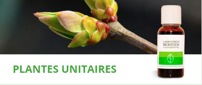 plantes unitaires biogemm