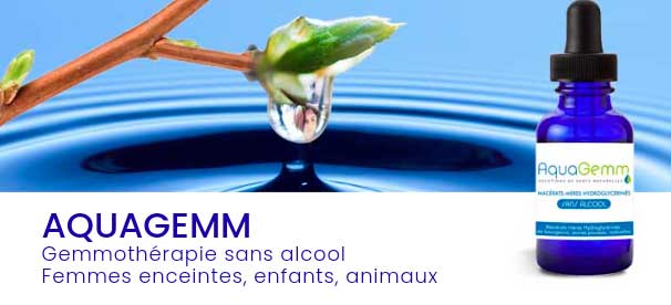 gemmotherapie sans alcool biogemm