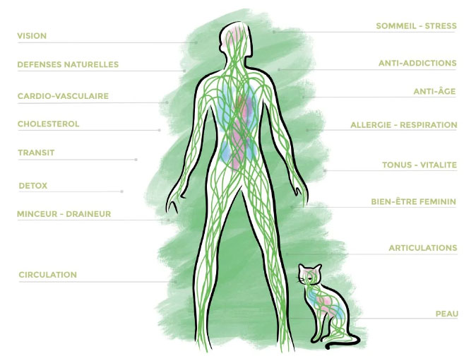 bienfaits biogemm