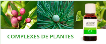 complexes de plantes biogemm